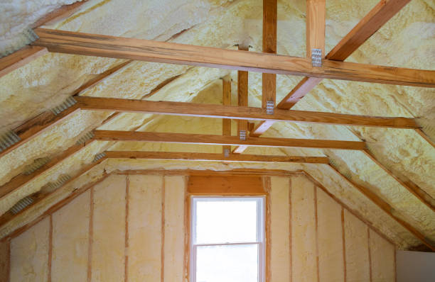 Best Spray Foam Insulation in Raceland, KY