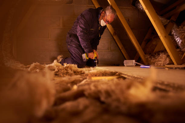Best Commercial Insulation in Raceland, KY